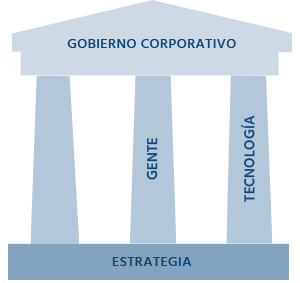 Servicio-Institucionalizacion