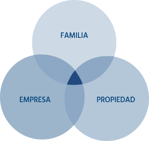 Servicio-Propiedad-y-familia